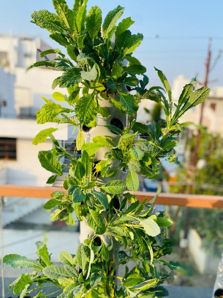 Aeroponic Tower