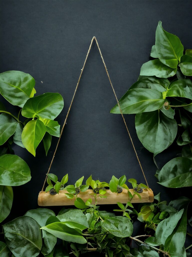 Bamboo hanging hydroponic