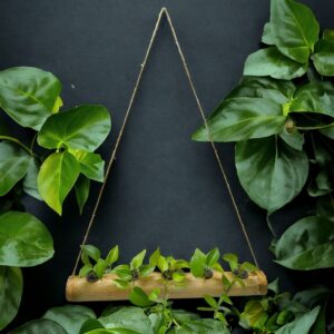 Bamboo hanging hydroponic